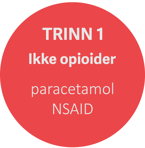 Trinn 1