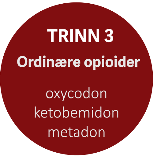 Trinn 3
